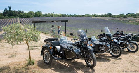 Excursion en side-car rétro dans les champs de lavande et les vignobles au départ d’Aix-en-Provence